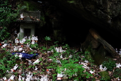 Kamakura散歩 佐助稲荷神社 狐様は場所を選らばずおります。