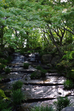 姫路城周辺観光 好古園　綺麗な小川