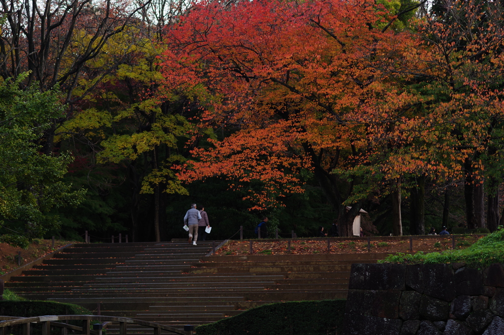 金沢城跡 夕方 (8)