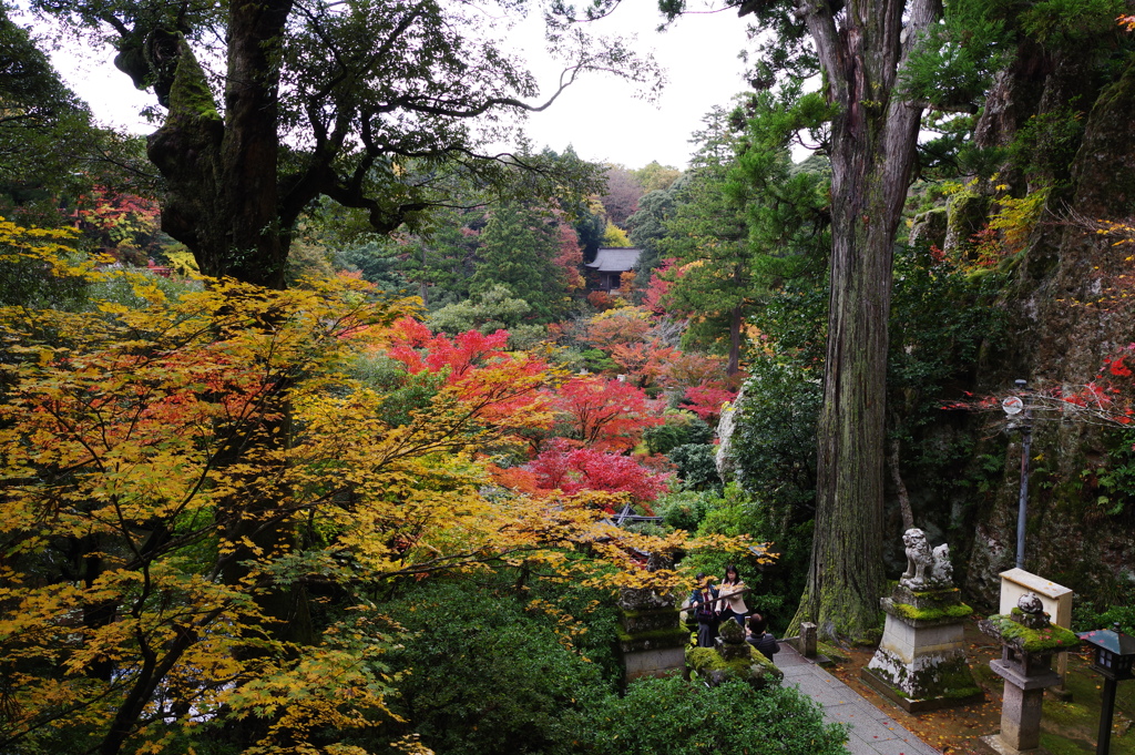 那谷寺 紅葉 (72)