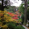 那谷寺 紅葉 (72)
