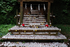 Kamakura散歩 佐助稲荷神社 狐様は見ておられます。