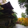 那谷寺 紅葉 (75)