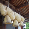 出雲大社
