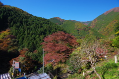 奥多摩むかしみち 第一綺麗な風景ポイント