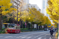 山下公園イチョウ並木とあかいバス