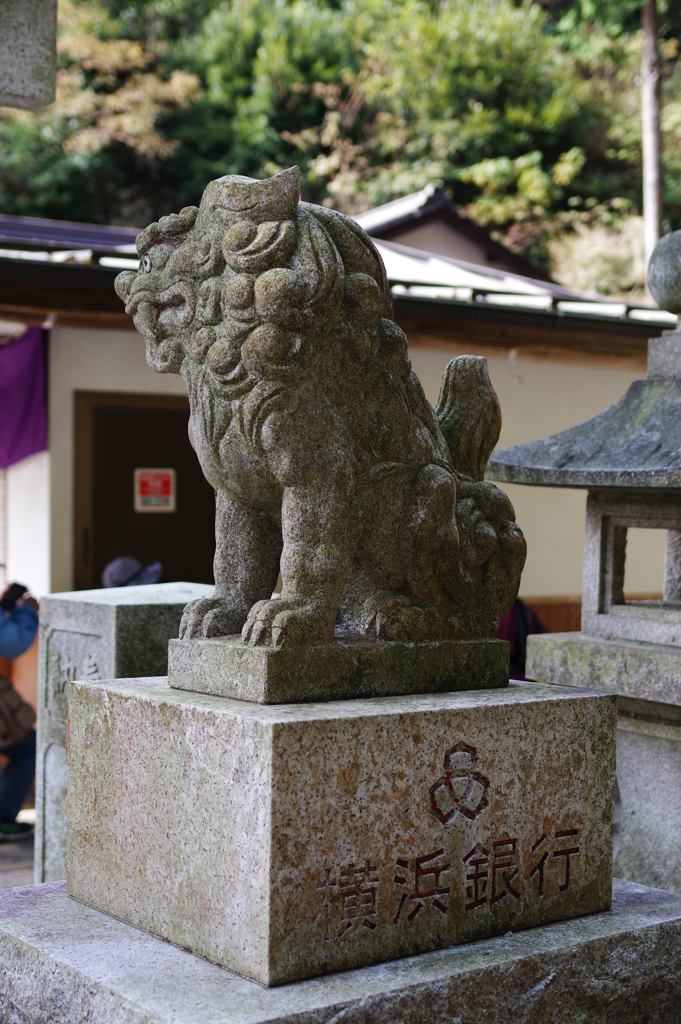 Kamakura散歩 銭洗弁財天 横浜銀行