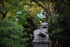 靖国神社 可愛い狛犬