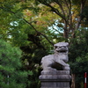 靖国神社 可愛い狛犬