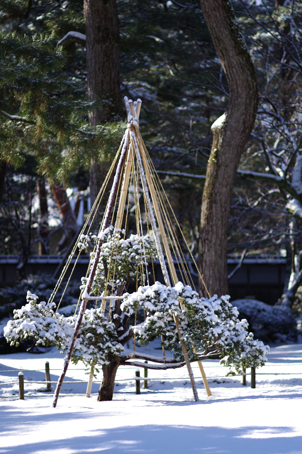 雪の兼六園 ミニ雪つり　可愛いくて好きです