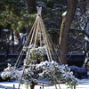 雪の兼六園 ミニ雪つり　可愛いくて好きです