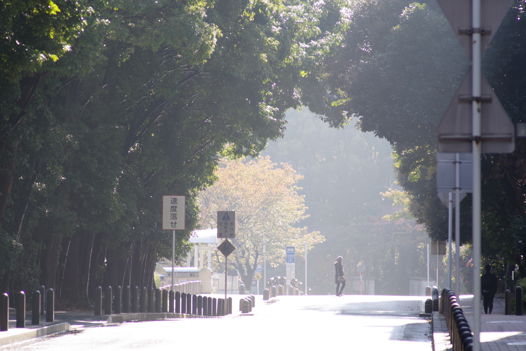 雨上がり　散歩 (3)