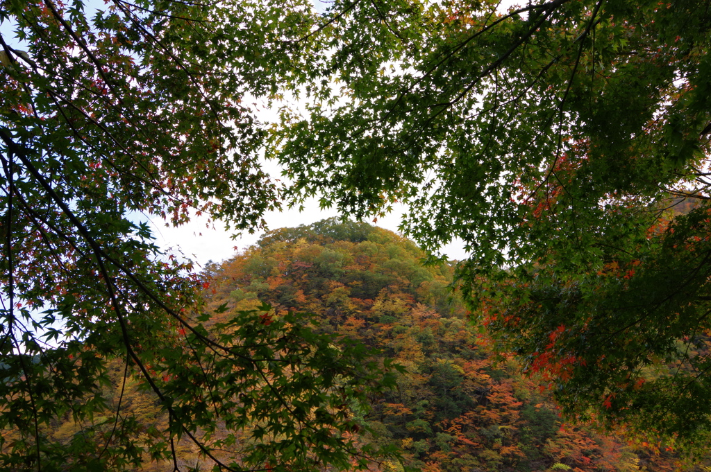 奥多摩むかしみち もみじと紅葉した山