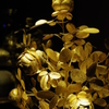 ウィーン3日目 王宮 宝物展 黄金の花