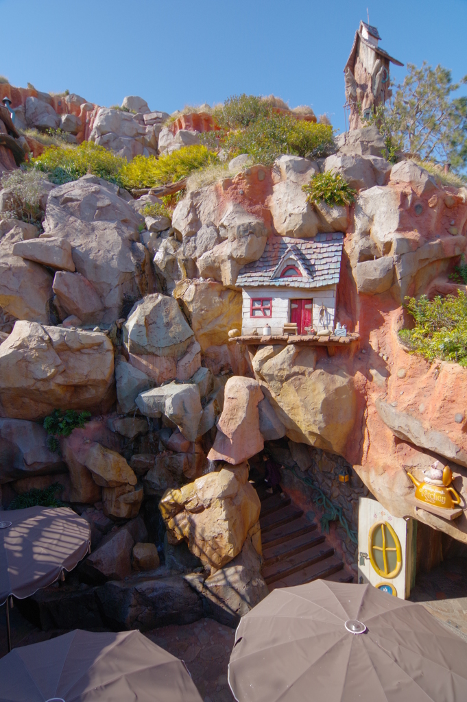 快晴の初ディズニーランド