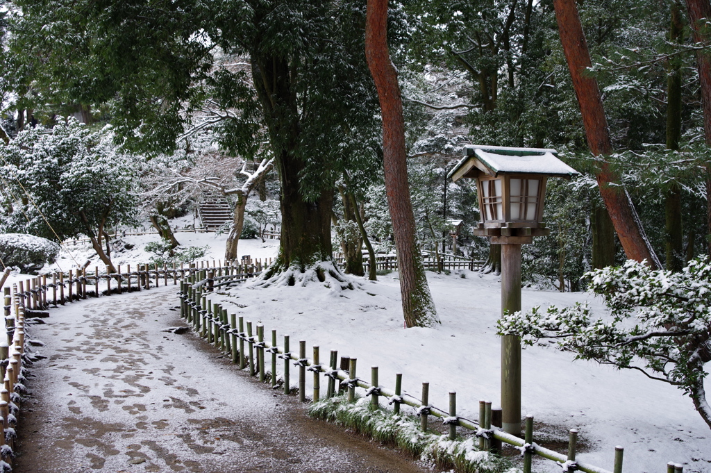 雪の兼六園 (24)