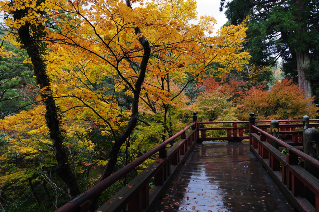 那谷寺 紅葉 (77)