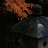 那谷寺 紅葉 (89)