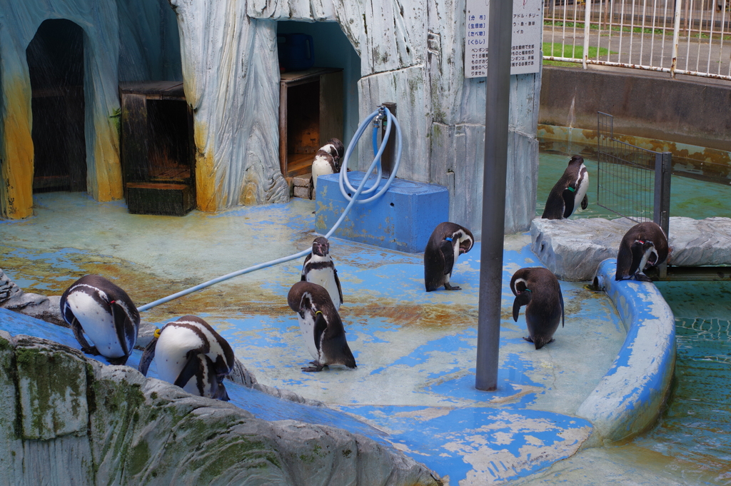 高岡城後にあった小さな動物園