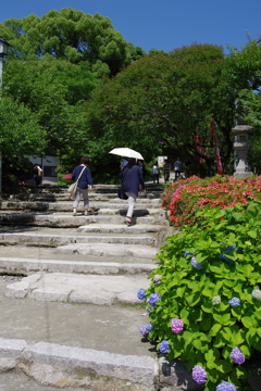 大宰府天満宮　ぶらぶら