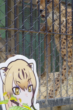 東武動物公園　フレンズと動物