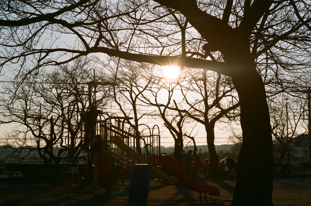 近所の公園(フィルム)