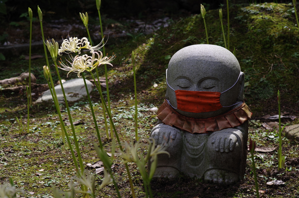 香林寺へお散歩 (33)