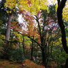 那谷寺 紅葉 (62)