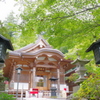高幡不動尊 