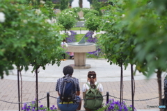みなとみらい散歩　ペトリ50mmf1.7
