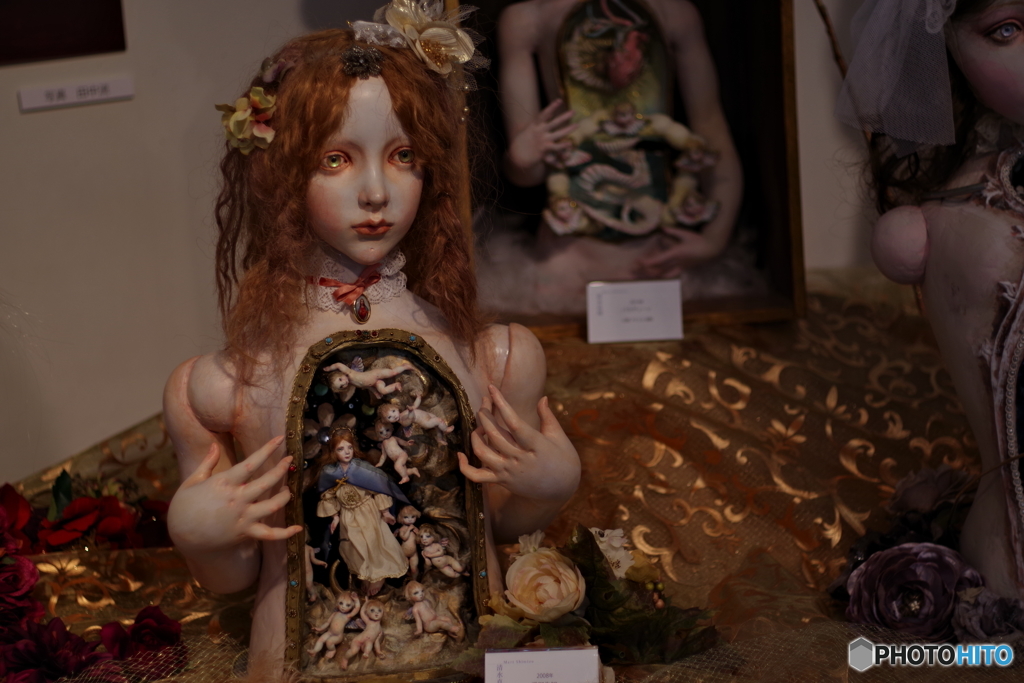清水真理展　ペトリ50mmf1.7