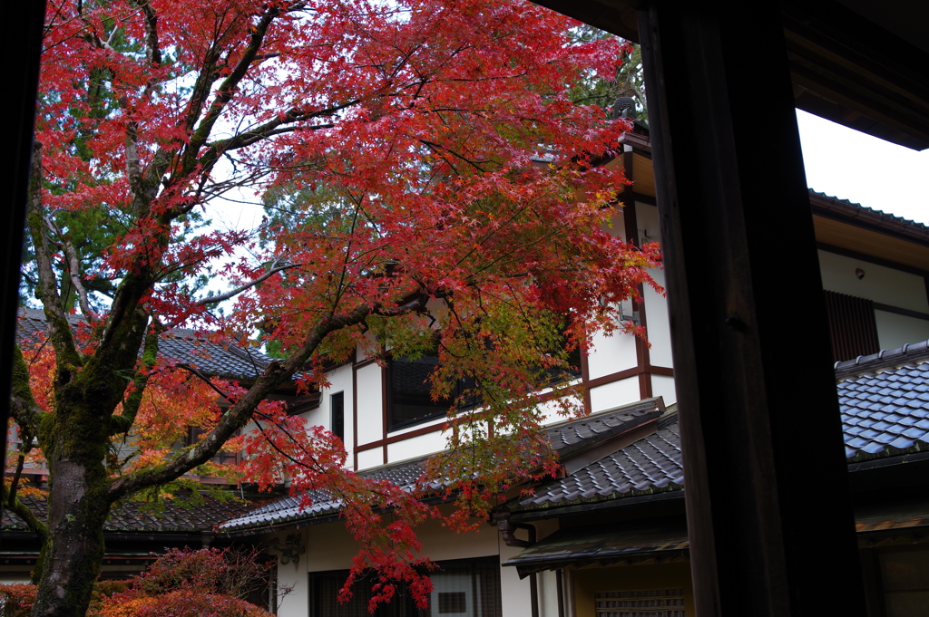 那谷寺 紅葉 (17)