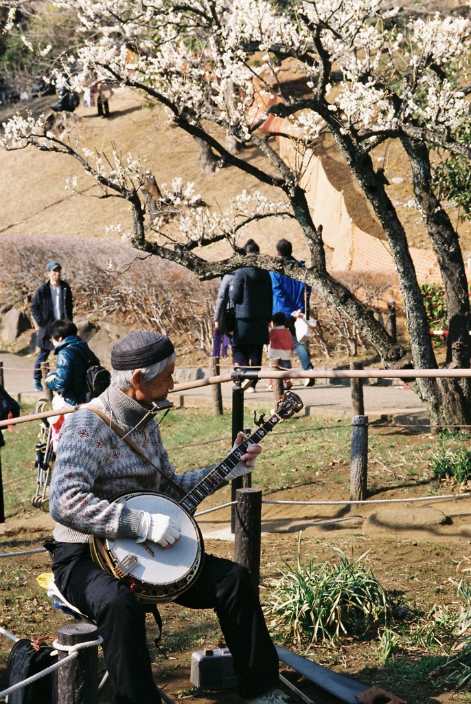 フィルム 梅と奏者