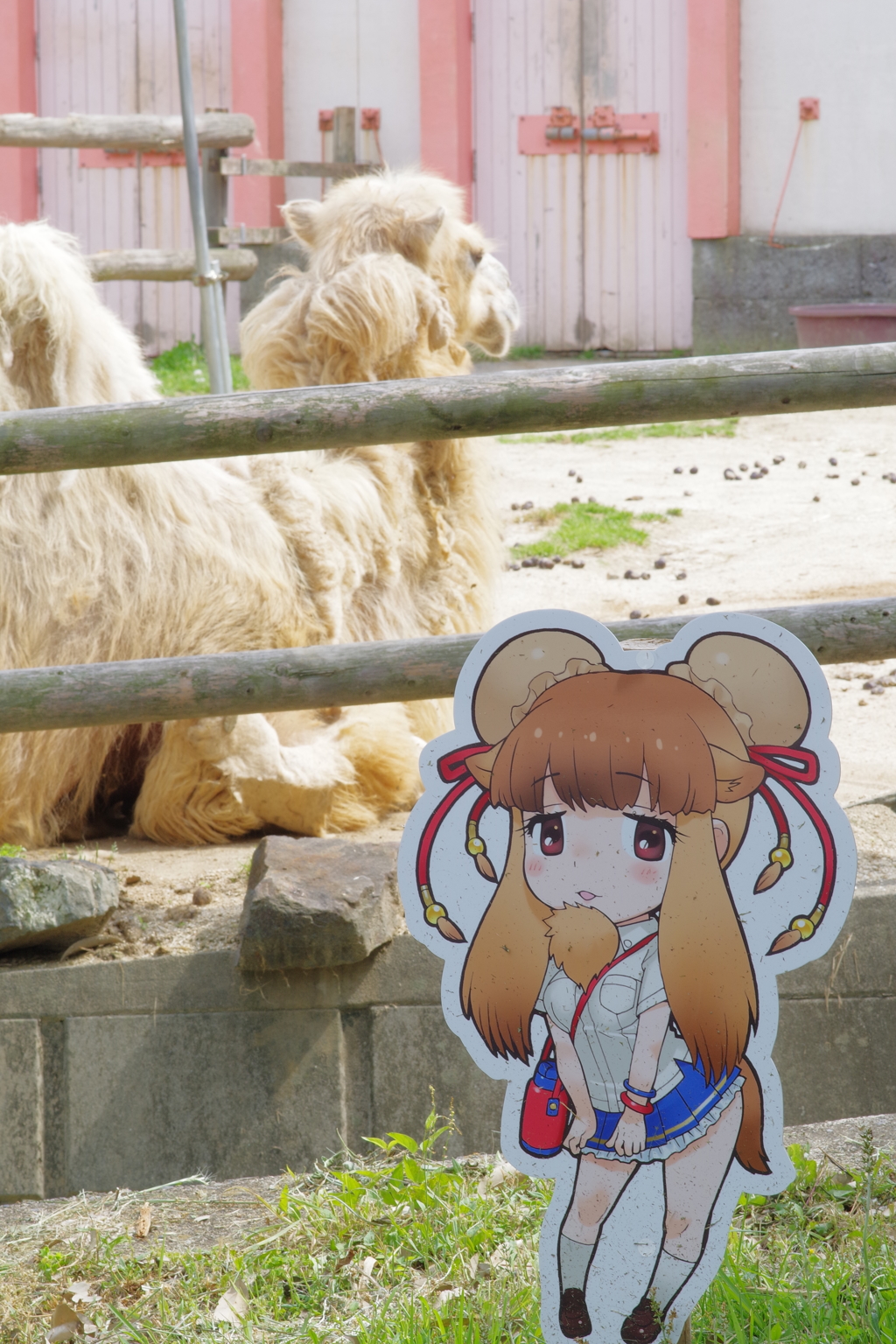 東武動物公園　フレンズと動物