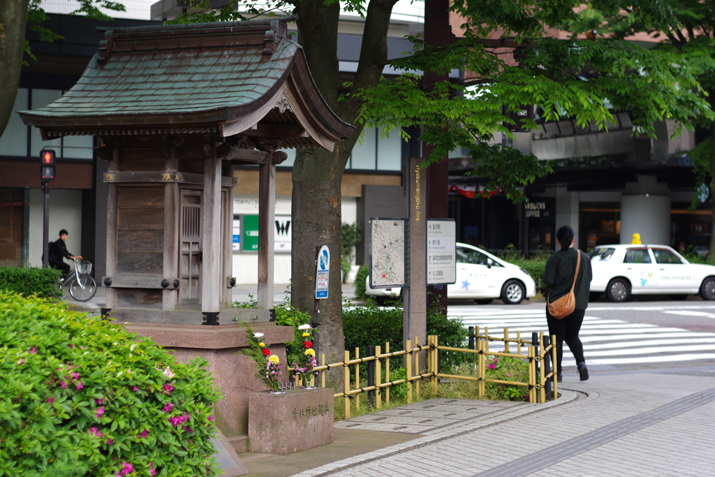 早朝のお散歩 (5)