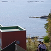 油壺マリンパーク 直ぐ後ろは海です。