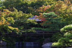 姫路城周辺観光 好古園　少し紅葉