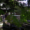 大分ちょっと観光　臼杵　八坂神社③