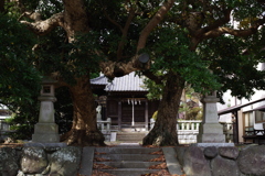 Kamakura散歩 八坂大神