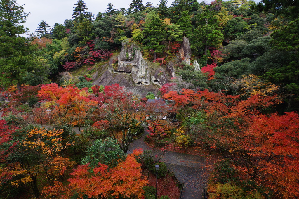 那谷寺 紅葉 (79)