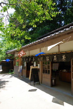 大宰府天満宮　ぶらぶら