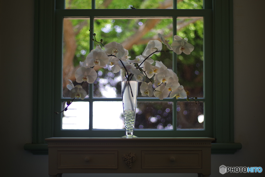 西洋館　YASHINON 50mm f1.7