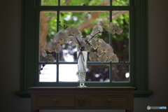 西洋館　YASHINON 50mm f1.7