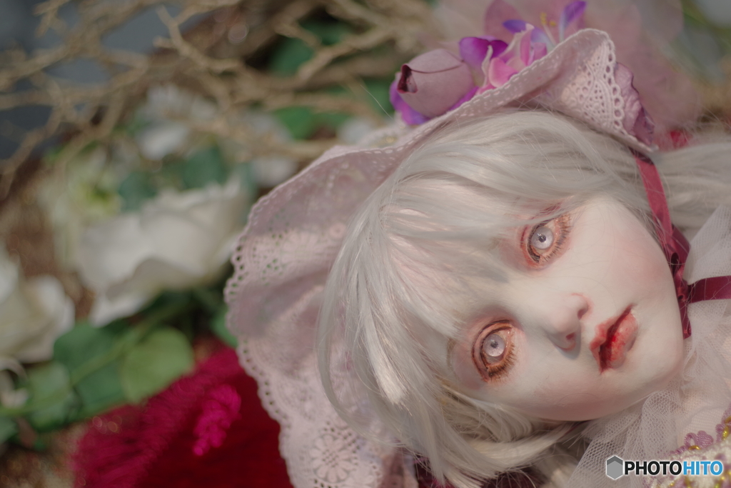 清水真理展　ペトリ50mmf1.7
