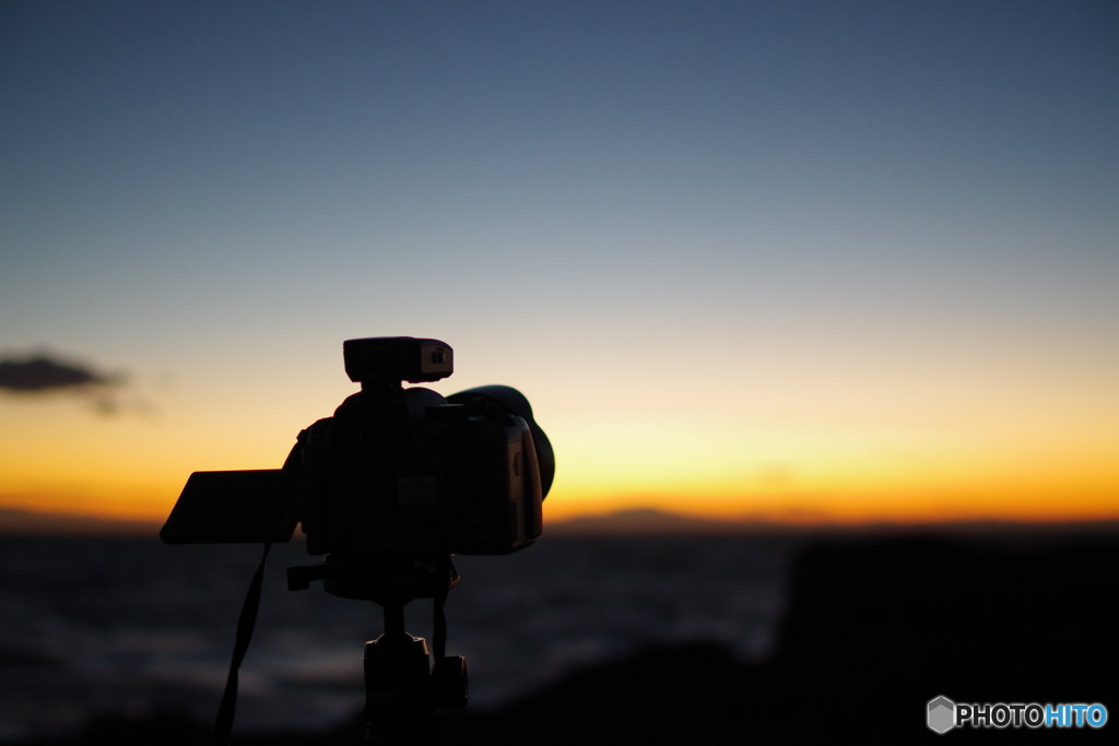 城ヶ島 猫と夕日と星 (5)