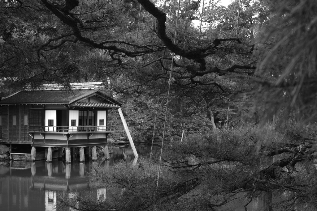 YASHICAでお散歩 白黒で撮ってみた