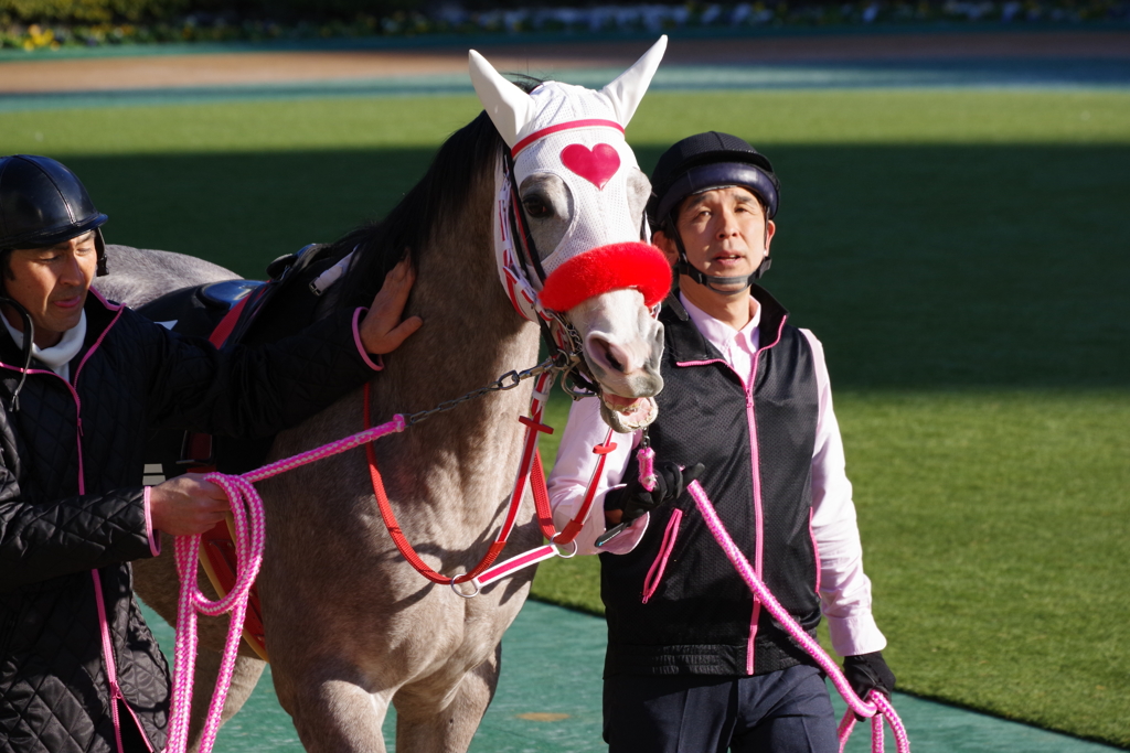 東京競馬場 可愛いマスク
