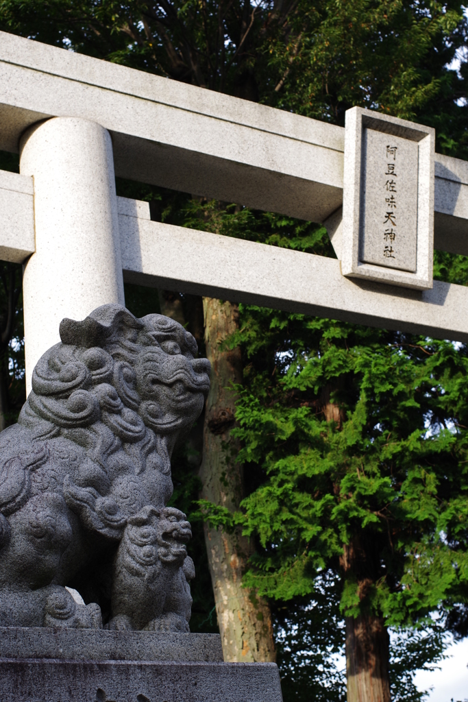 阿豆佐味天神社　狛犬の親子
