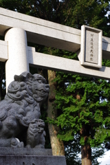 阿豆佐味天神社　狛犬の親子