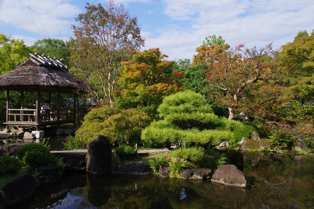 姫路城周辺観光 好古園